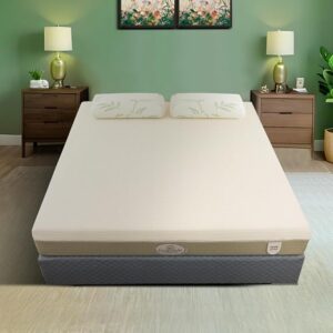 Yajur™ 6 Inches Natural Latex Hybrid Mattress